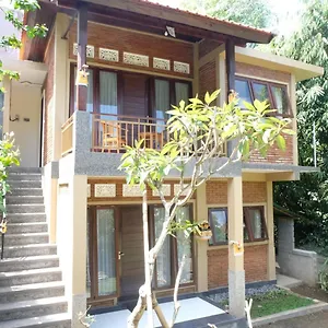 https://ary-house-ubud.ubudhotelsnow.com